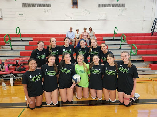 Lady Dawgs Volleyball: Lymphoma Awareness Game