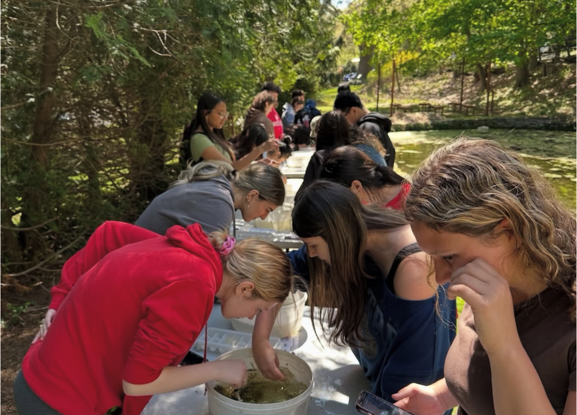 Cold Spring Harbor Lab